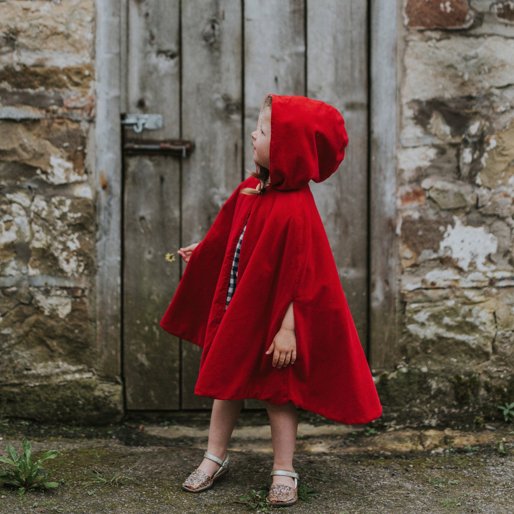 Wnterberry Red Velvet Cape